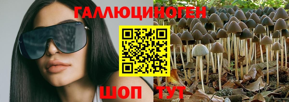 Горячий Ключ  цены наркотик  Псилоцибиновые грибы ЛСД  Вход с VPN  Галлюциногенные грибы мицелий 